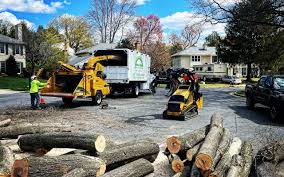 How Our Tree Care Process Works  in  Brockway, PA