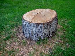 Best Emergency Tree Removal  in Brockway, PA