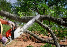  Brockway, PA Tree Care Pros
