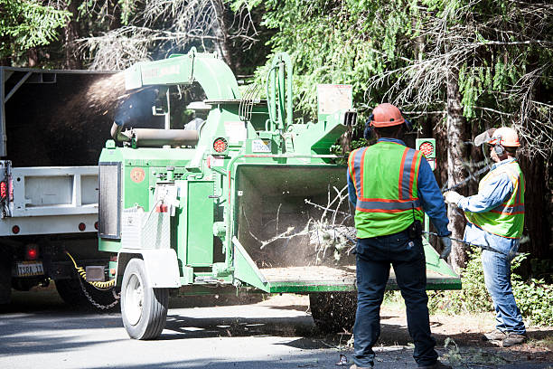 Best Aeration Services  in Brockway, PA